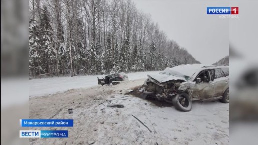 На трассе Кострома-Шарья в аварии погибли два человека