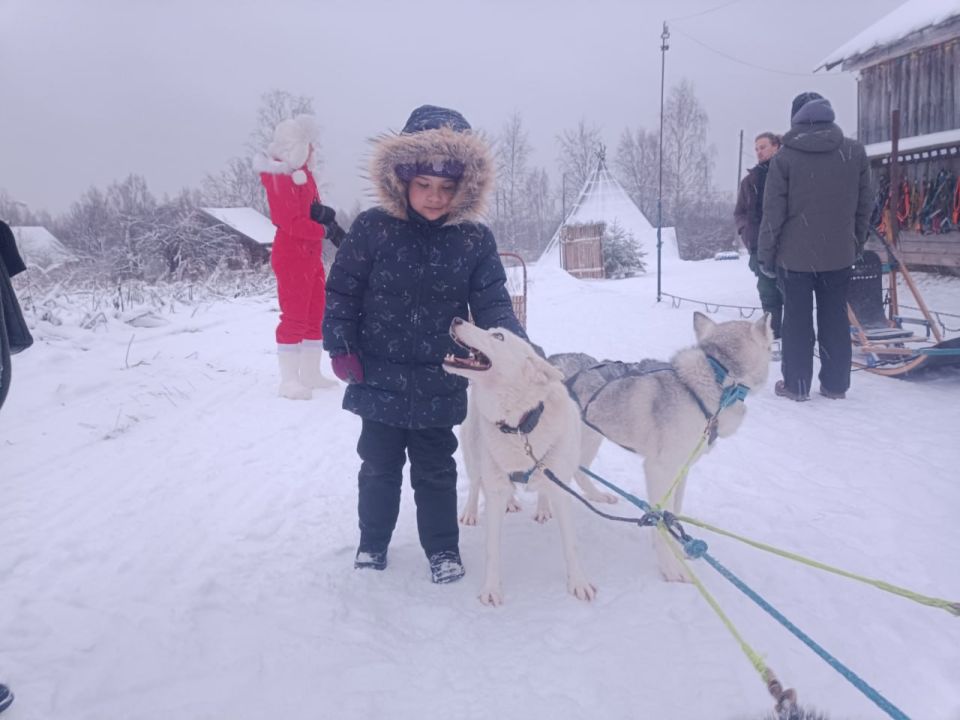 � ����������� ������� ��������� ����������� ������� ������� 3 �������� ������� �����