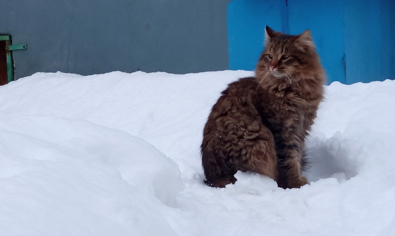 В Костромской области выпала половина месячной нормы осадков, и это только начало