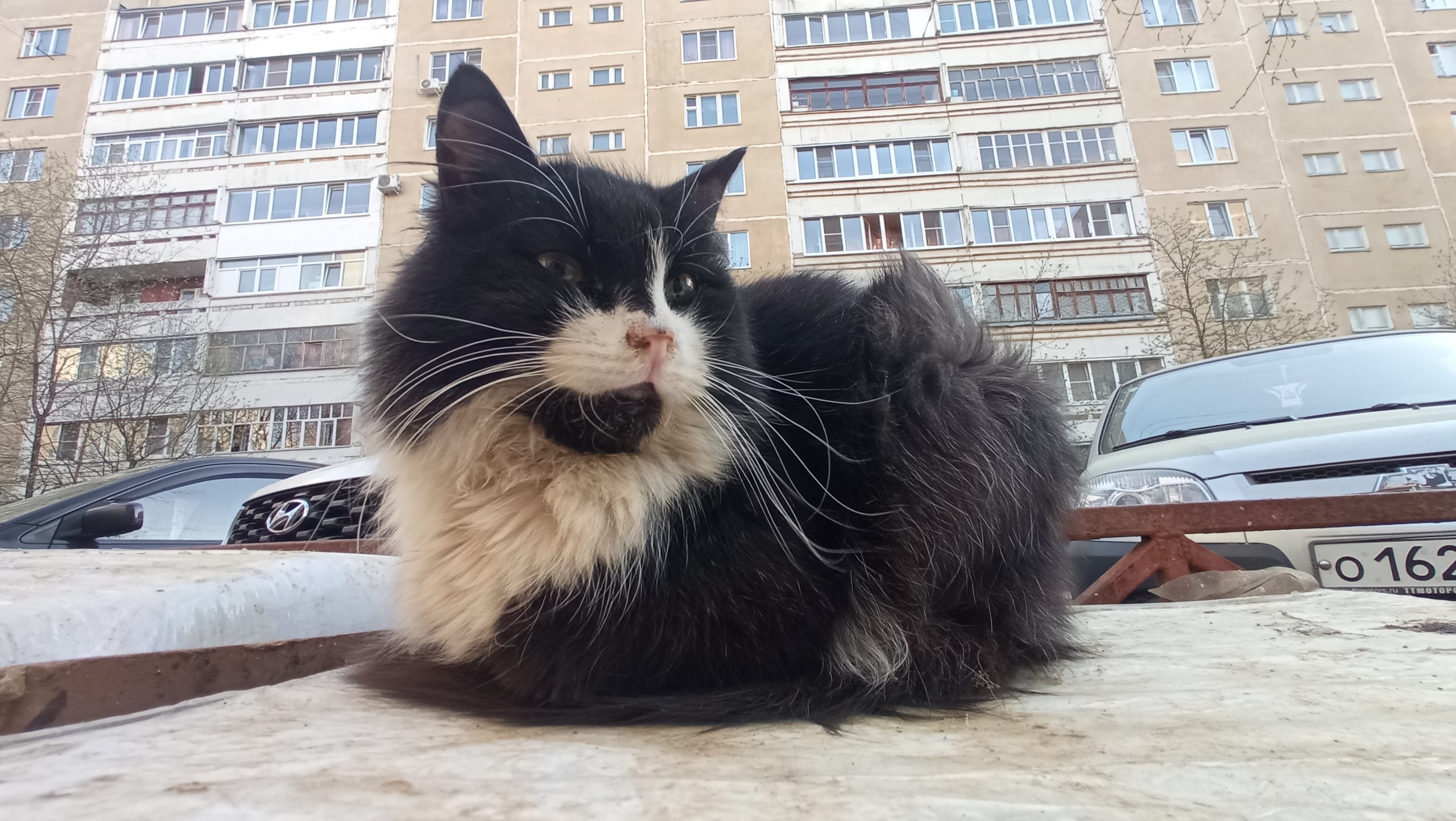 Восточные ветры принесут стужу в Кострому