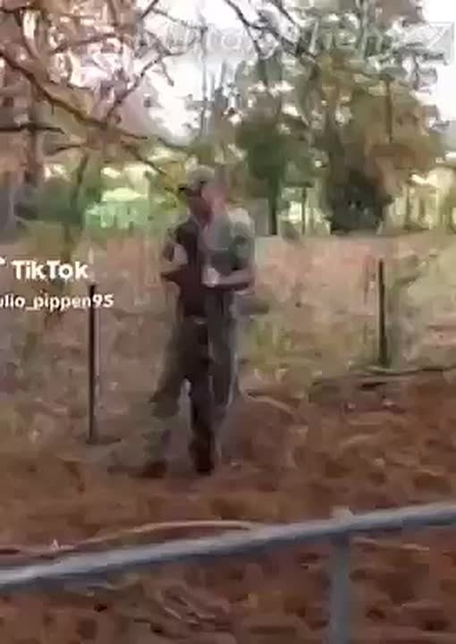 ������������� ����������� �� ������� �������� � ���� � ������� ������ ������� �����