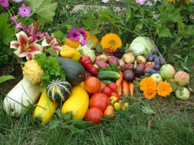 ���������� �������� �� �������: ����� �������� ����������� ������� ���� �����?