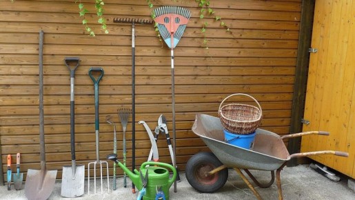 ��� ������� ��������� ����� ��� ����