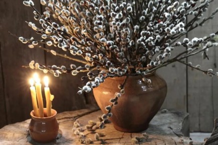 ������� �����������: ���������� � �������� � �������������� ��������� �����