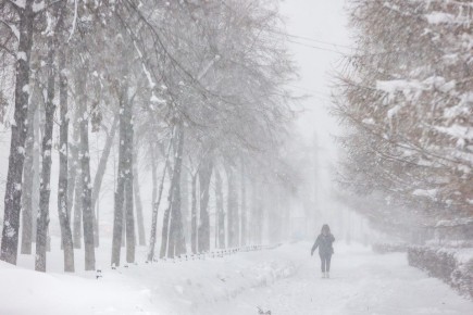 ������ � ��������: �������� ����� �������� ���� ��� ��������