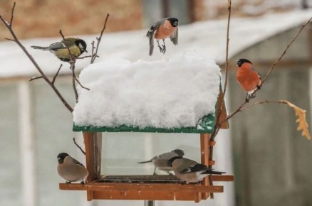 ��� ������ �������� ��������� ������� ������ ���� ������