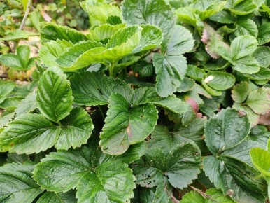 ���� �� ���������� � �������: �������� ������� ��� ������ � ������ ������