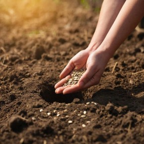 ������ ��������� � ����� ����: ����� ������ ������ � �������?