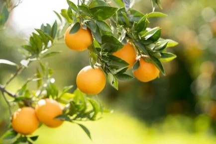 ��� �������� ����� �������� ���� ������������ � ����������