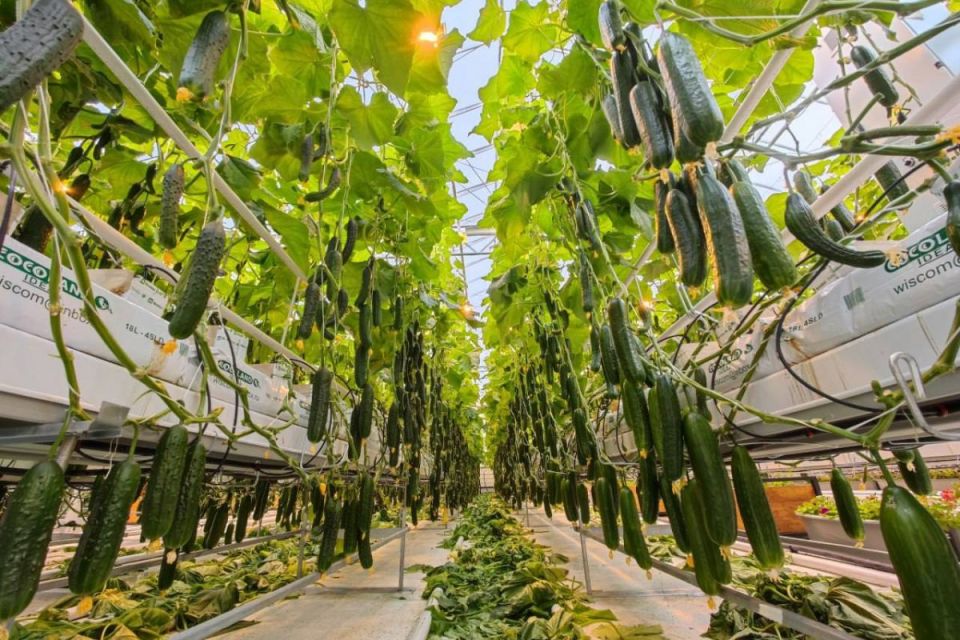 Народная программа России – это строительство школ и детских садов, новые ФАПы, благоустройство парков и возведение социально значимых объектов