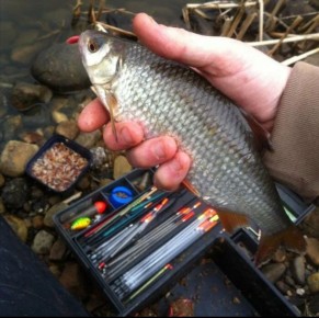 ����� ������ �� ������ ��������: ������ � ������