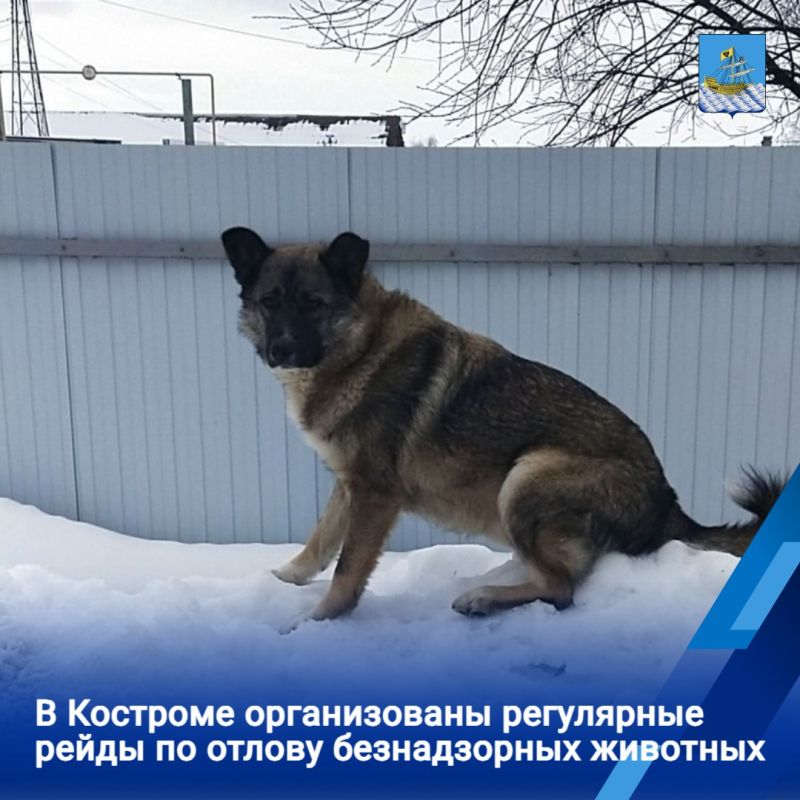 � �������� �� ���������� ������ �������������� �������� �� ������������� ������������ ���������