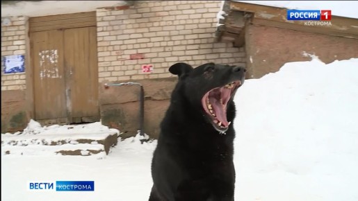 ��������� � �������� � ��������� �� ���� ����������� �������� ����� �������� ������������ ������� � �����������