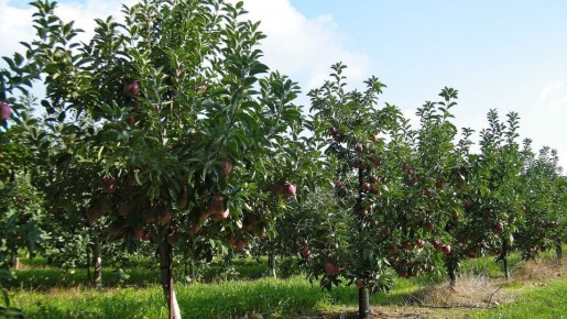 ��� �������� ������� � ����: ������ �� ������������� ������� �����