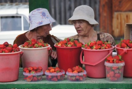 ����� ����� ������: ����� ����� �������� ������� �������?