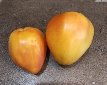 ����� ����� ������ �������: ���������� ����������� ������� � ����������� ������