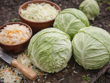 ��� ������� ������� ��� �������: ������� ��������� ��������