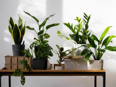 ���� �� ���������� ���������� ������: ��������� ����� � ������