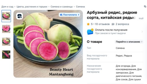 Арбузный редис: миф о новинках в мире овощей