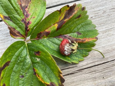 ��� �������� ����� ����� �� ��������� � �������� ������