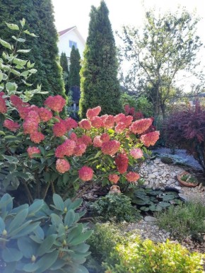 ����� �� ������� �������� ����� ���������, ���� ������� ����� ��������?