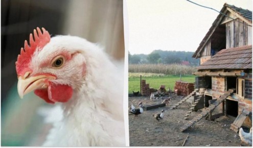 ���������� ��������� � ����: ������ � ������������ ��� ��������