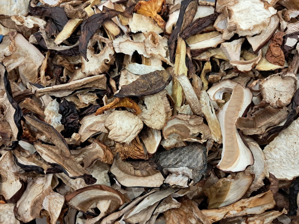 Грибное изобилие: как правильно сушить и хранить собранные грибы