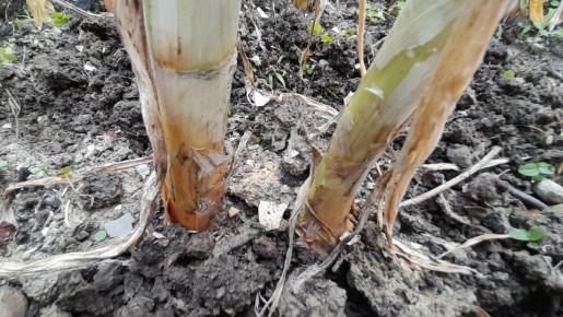 ������� �������� ����������: ����� ��� ��������� ���������