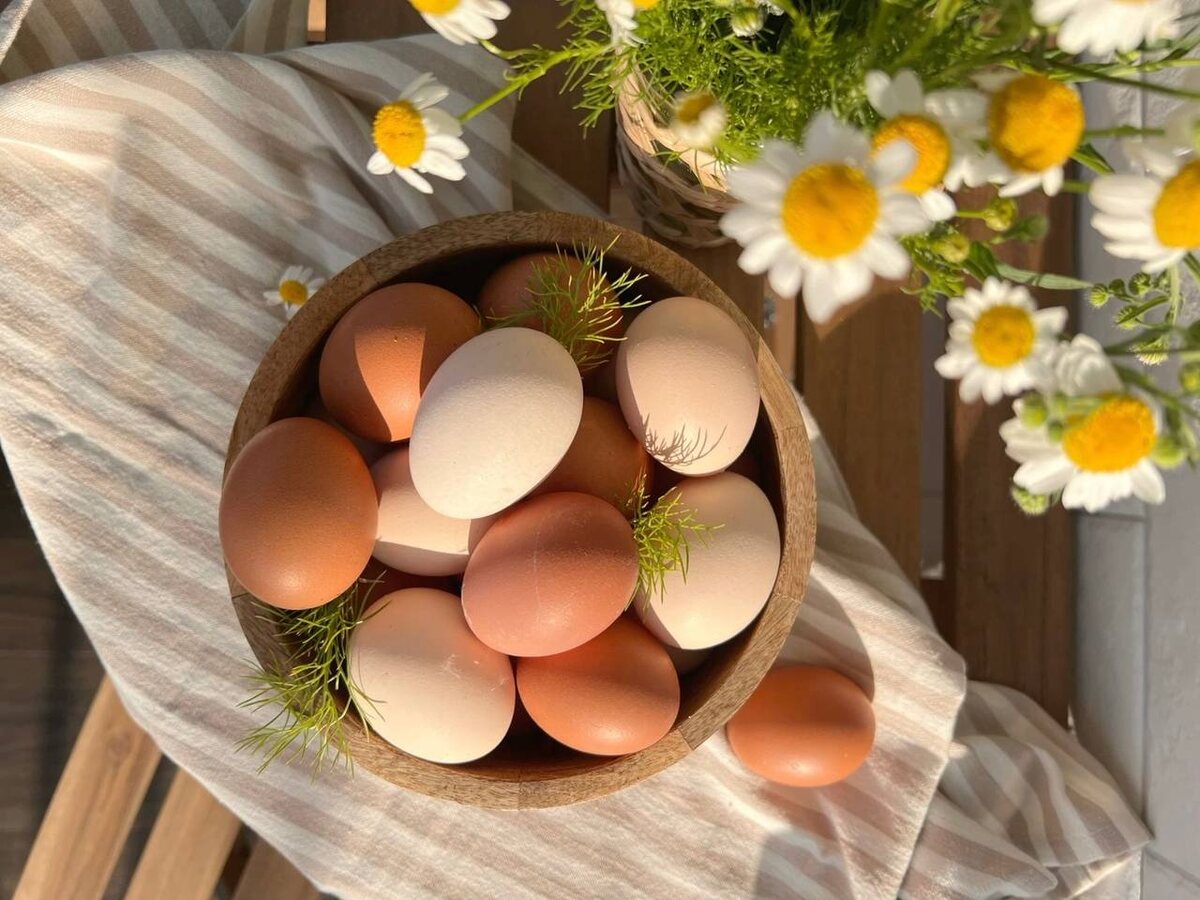 Как сварить яйца так, чтобы скорлупа уходила без труда