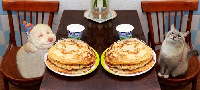 ���� �� ���������: ��� �������� ������ � ������