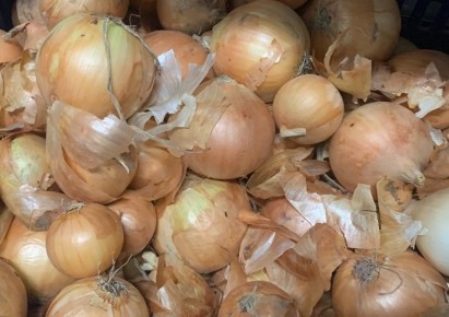 Секреты хранения лука: Почему чулок остаётся актуальным даже сегодня