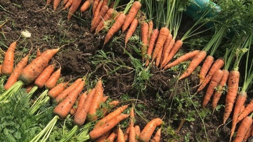 ������� �������� �������, ������� �������� �������� ���� �������� � ��� ����