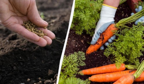 ��� ��������� �������� ������� ��� �������� � �������� ������