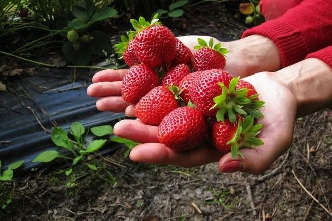 ��� ������� ��������� �������� ������������ ������� ������ �� ������� ���