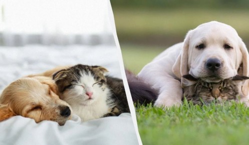 ������ � ����� ��� ������ ������: 7 �����, ������� ����� ��������