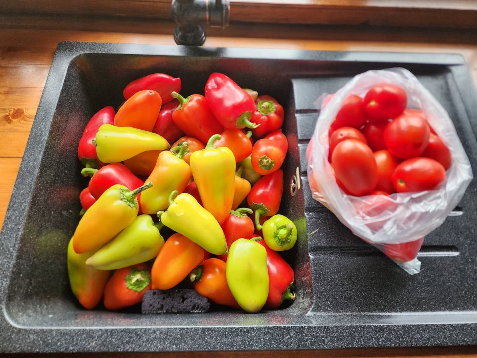 ���� ��-���������: ������� ���������� �������