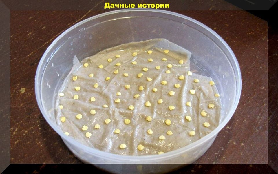 ������� �������� �������: �������� ������ ��� ������������ �����