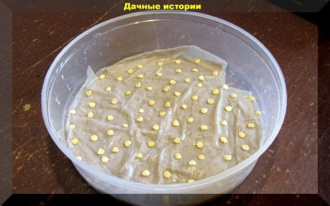 ������� �������� �������: �������� ������ ��� ������������ �����