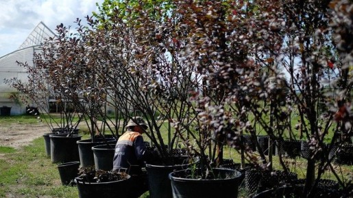 ��� ������� ��������� �������: ������ �������� �������