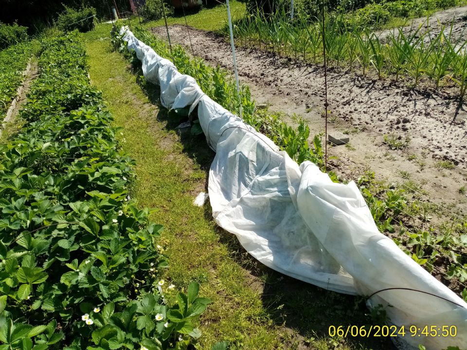 ������� ������� ������ ������� ���������: ������ ������� ���������