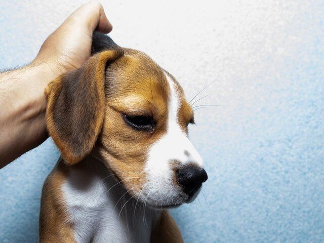 ����� ����������� � ������ �� �������� ���������, ���� ����� ��������� ������