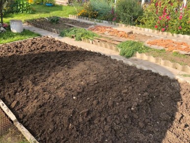 ������� �������� ����� �� ��������: ��� ������� ����� ��������� ������