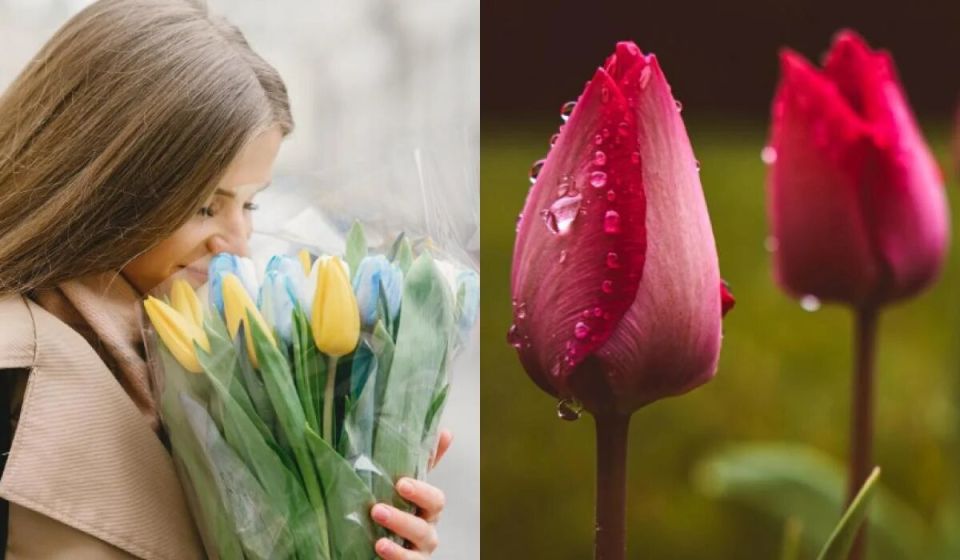 ��������� ��������, ��� �������� ����� ��������� � ����