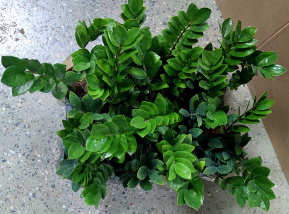 ������������ �� �����? ��������� 5 �������� ������