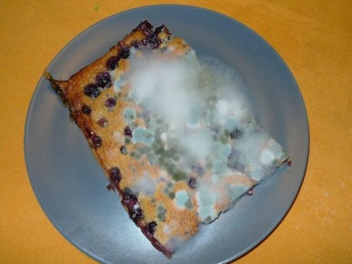 ����� ��� ����� ����������: ����� ������ ����� ������� ��� ������� ��� � �������������