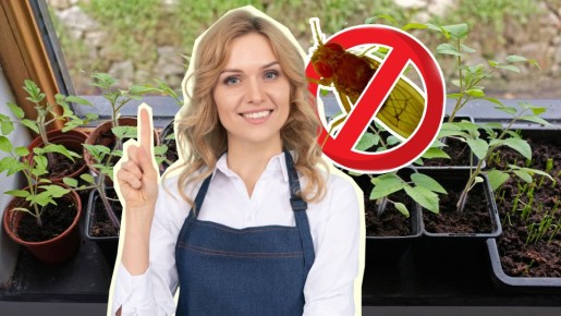 ����� ���������� ������������ � ��� �� �����������: �������� ��� ��� ���