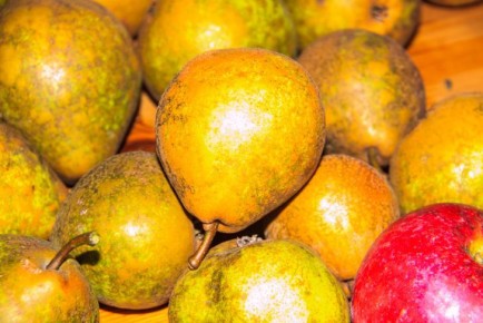 ���������������� ����� � �����: ���������� �������� - ������� �� �� ��������� ������