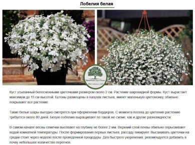 ������� � ����: ��� ������� ������ �������� ���� � �������