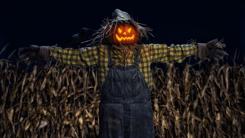 ��� ������� �������� ��������� ������ � ������� �������������� �������