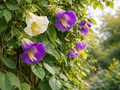 ���������� �����: ����� �� ������ �� 5 ������ �� ���� �����